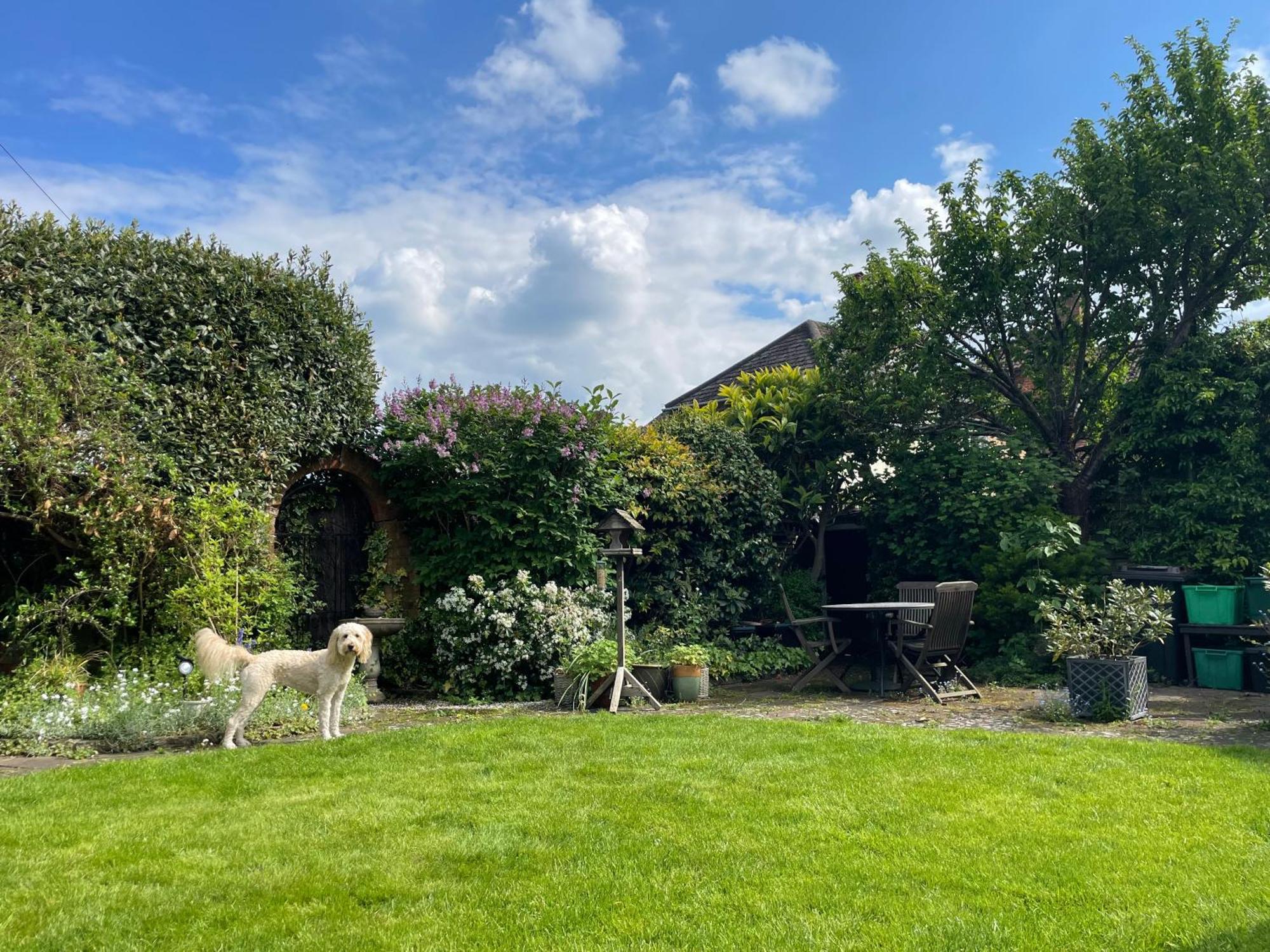 Clay Farm Guest House Bromley Exterior foto